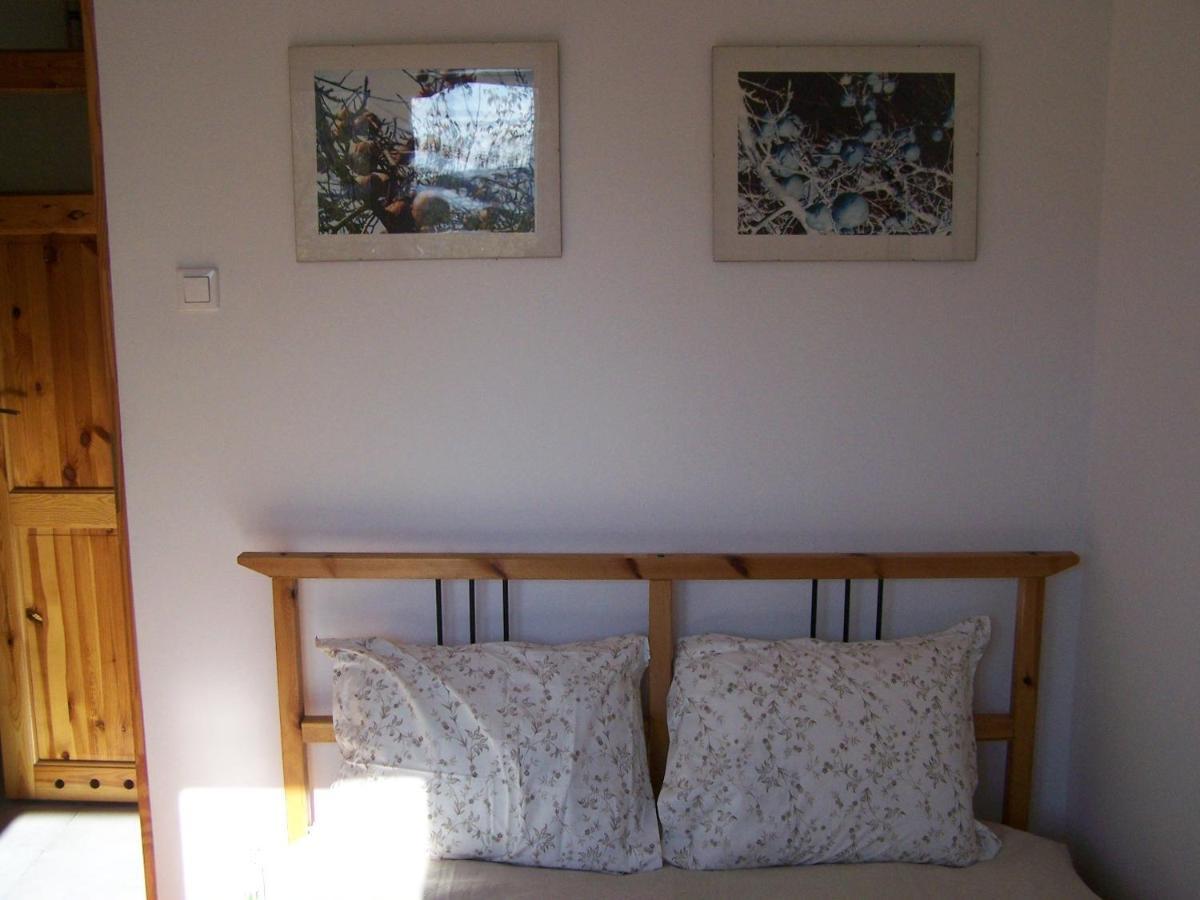 Bright Side Apartment Koszutka Катовице Екстериор снимка